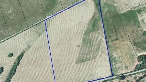 Rustic building plot between Manacor and Porto Cristo Rustic building plot between Manacor and Porto Cristo