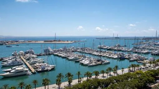 Spacious penthouse in Palma with views over the marina Spacious penthouse in Palma with views over the marina