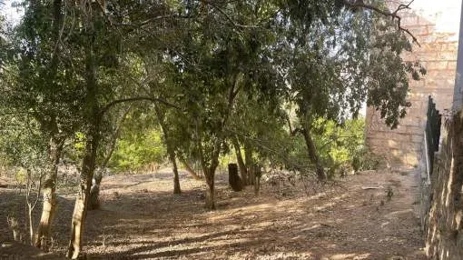 Building plot in the heart of Campanet