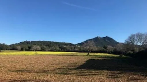 Magnificent building land near Felanitx with views to mills and Sant Salvador Magnificent building land near Felanitx with views to mills and Sant Salvador