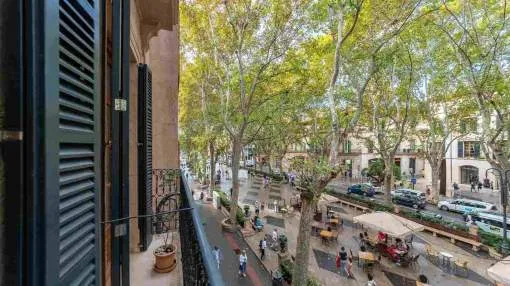 Great investment property in the middle of the old town of Palma de Mallorca Great investment property in the middle of the old town of Palma de Mallorca
