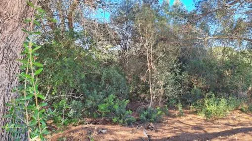 Ideal building plot for your dream house by the sea Ideal building plot for your dream house by the sea