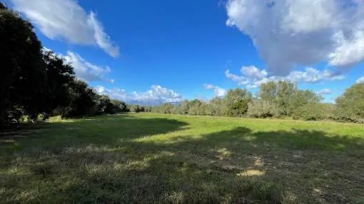 Plot without building license in the vecinity of Muro overlooking the bay of Alcudia Plot without building license in the vecinity of Muro overlooking the bay of Alcudia
