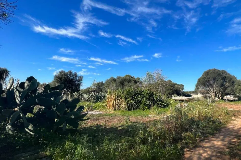 Building plot with sea views in Ses Salines