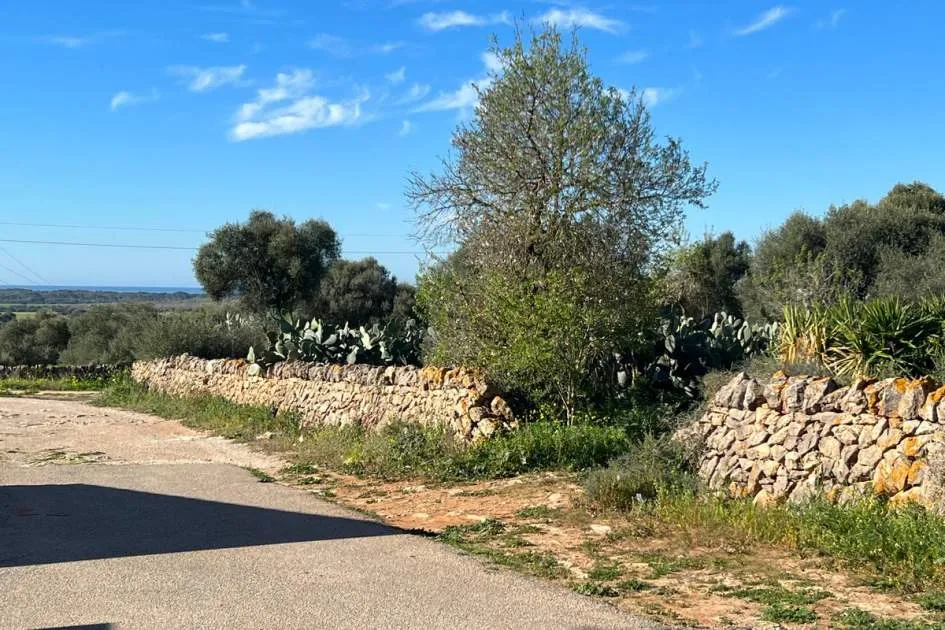 Building plot with sea views in Ses Salines