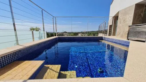 Stunning penthouse with private pool in Establiments.