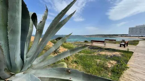 Spacious apartment in first sea line with unbelievable views in Colonia St. Jordi Spacious apartment in first sea line with unbelievable views in Colonia St. Jordi