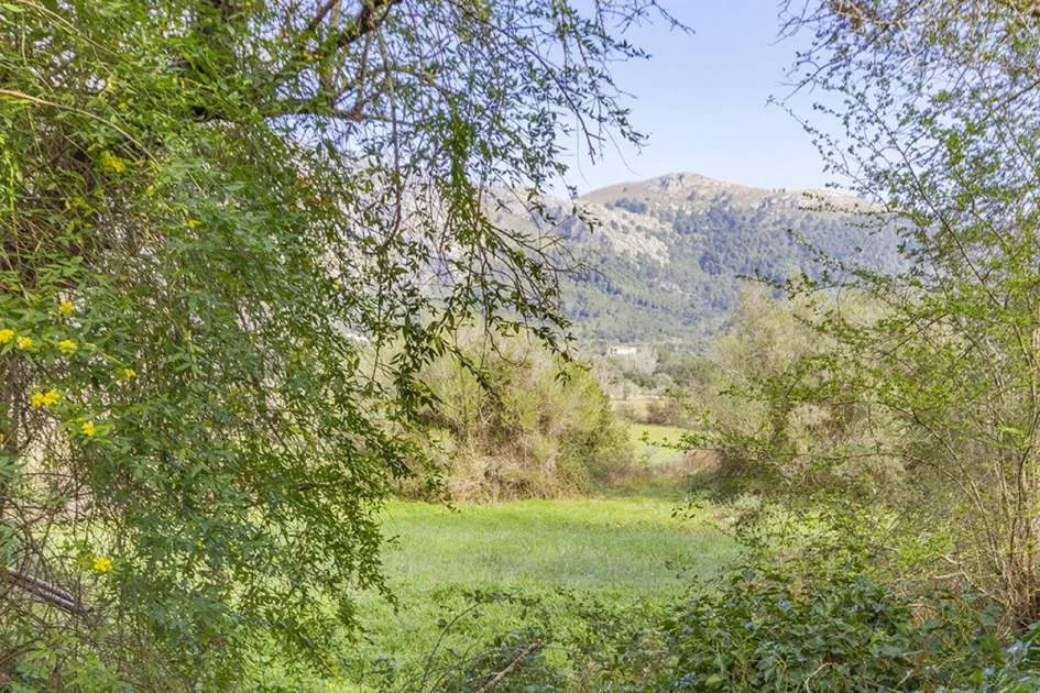 Majorcan stone finca for renovation in Vall d'en March, Pollensa