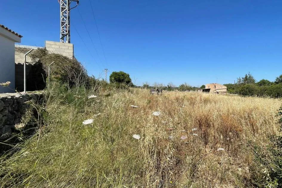 Large urban plot with building potential Sineu