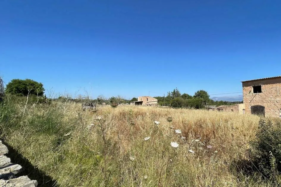 Large urban plot with building potential Sineu