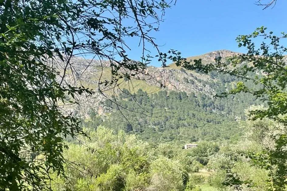 Majorcan stone finca for renovation in Vall d'en March, Pollensa