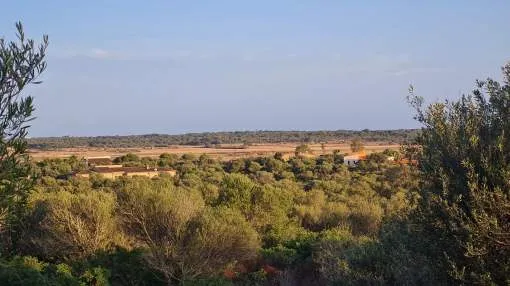 Generous building plot with basic project at the gates of Santanyi