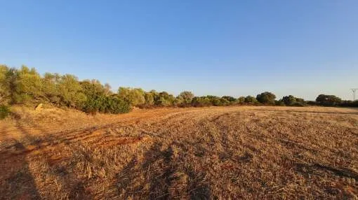 Generous building plot with basic project at the gates of Santanyi