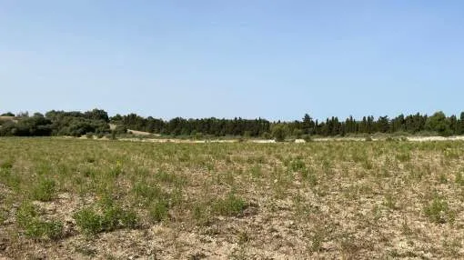 Plot of land with mountain views in Maria de la Salud Plot of land with mountain views in Maria de la Salud