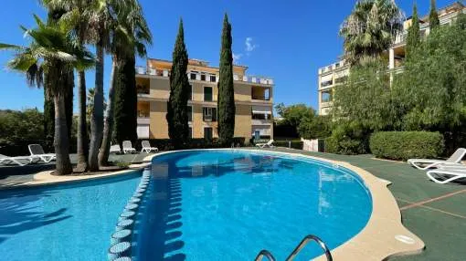 Very cosy and bright flat in Son Rapinya Very cosy and bright flat in Son Rapinya
