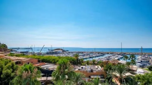 Stunning top renovated 2 bedroom apartment with beautiful sea and harbour views and direct access to port Puerto Portals