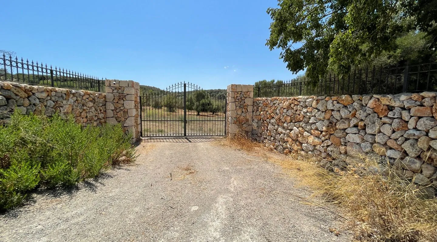 Magnificent plot with project and building licence in Ariany
