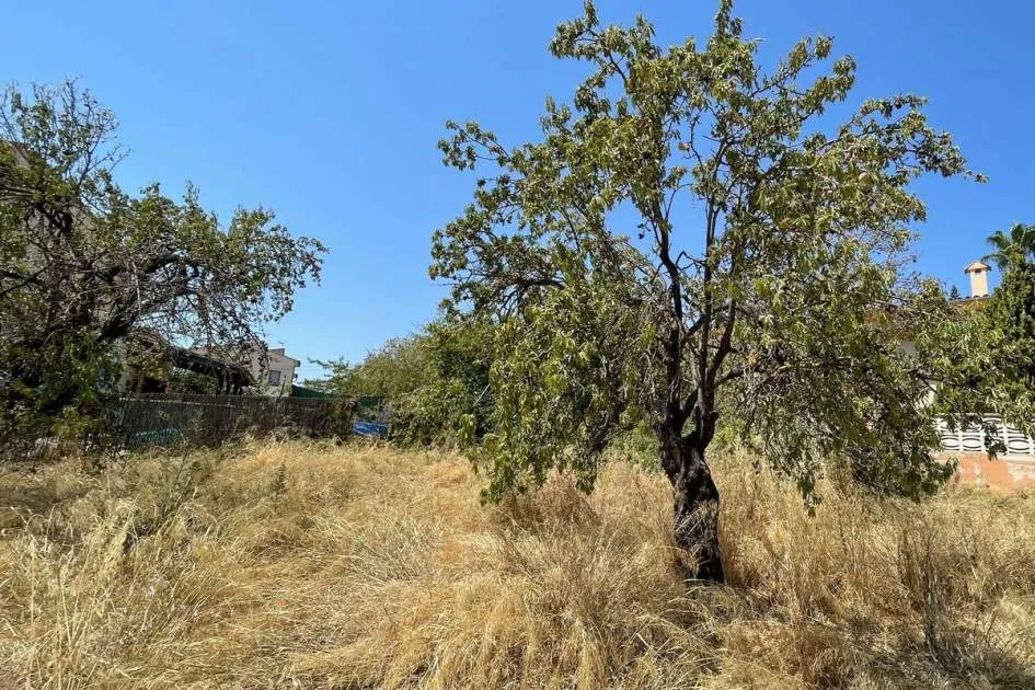 Great buildable plot in Calvià Village