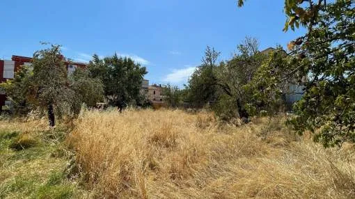 Great buildable plot in Calvià Village