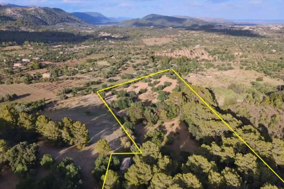 Spacious plot near Moscari with panoramic view