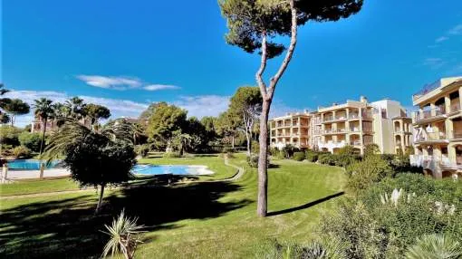 3-bedroom apartment with large terrace in quiet community in Nova Santa Ponsa