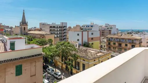 New penthouse with private roof terrace and small pool in Santa Catalina