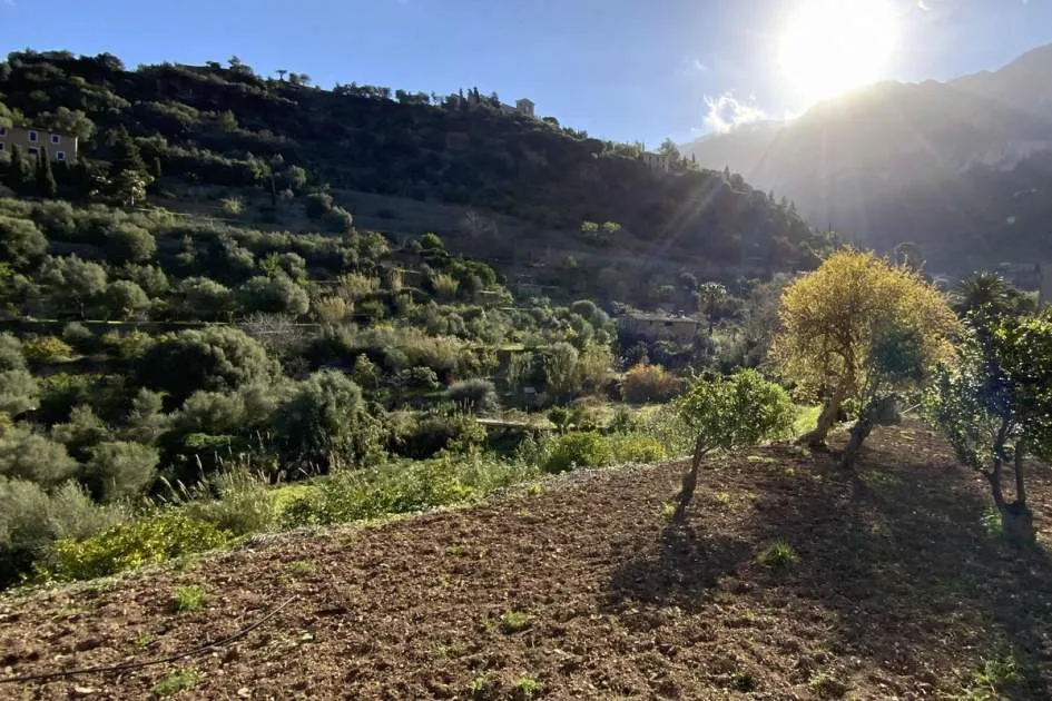 Fantastic building plot in Deià a short distance from the town center