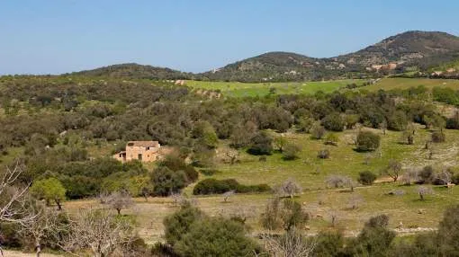 Large building plot near Manacor enjoying splendid panoramic views Large building plot near Manacor enjoying splendid panoramic views