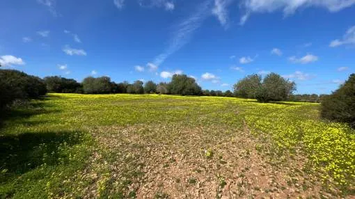 Plot with panoramic views in Manacor