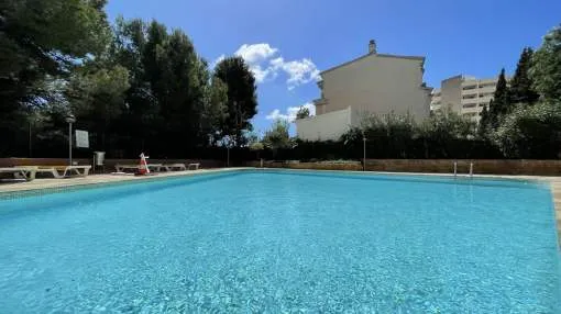 Warm and cosy flat in Portals Nous with large terrace. Warm and cosy flat in Portals Nous with large terrace.