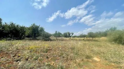 Rural building plot with project in Pollensa