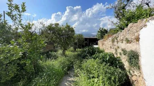 Ground floor with mountain views in Campanet