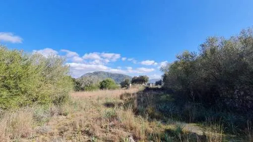 Large rural property in Crestatx near Pollensa