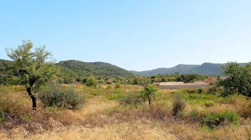 Building plot in Calvià with project to construct a family villa with a swimming pool close to the village