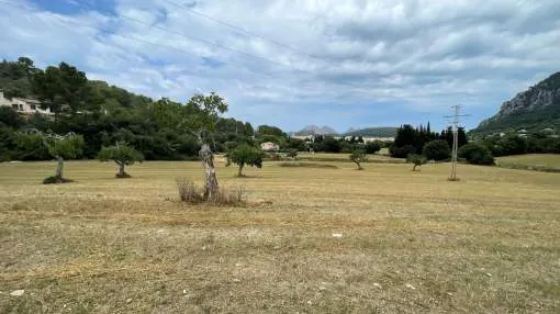 Building land with license for a country house near Pollença