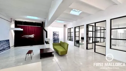 New York loft industrial style property in El Terreno for sale New York loft industrial style property in El Terreno for sale