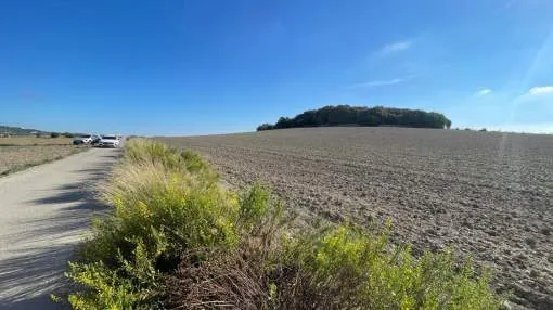 Plot with license for a family villa with swimming pool in Maria de la Salud Plot with license for a family villa with swimming pool in Maria de la Salud