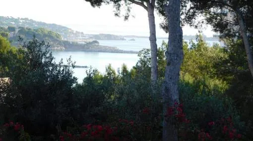 Flat plot in sought-after and peaceful area of Palmanova - less than 350 metres from the beach!
