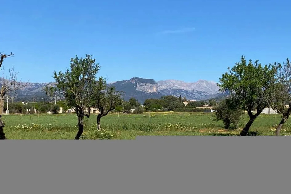 Plot with licence for a rustic finca with swimming pool and views to the Tramuntana mountains in Consell