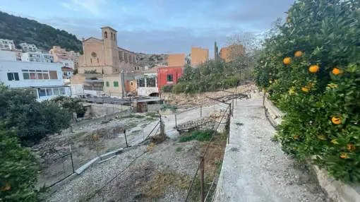 Building plot in Genova