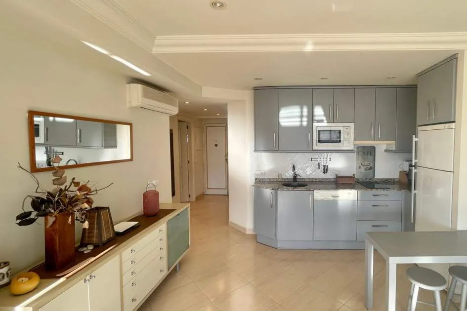 Bright Penthouse for Sale in Portal Nous