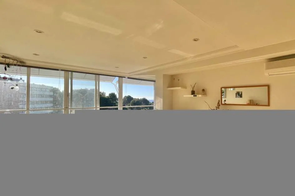 Bright Penthouse for Sale in Portal Nous