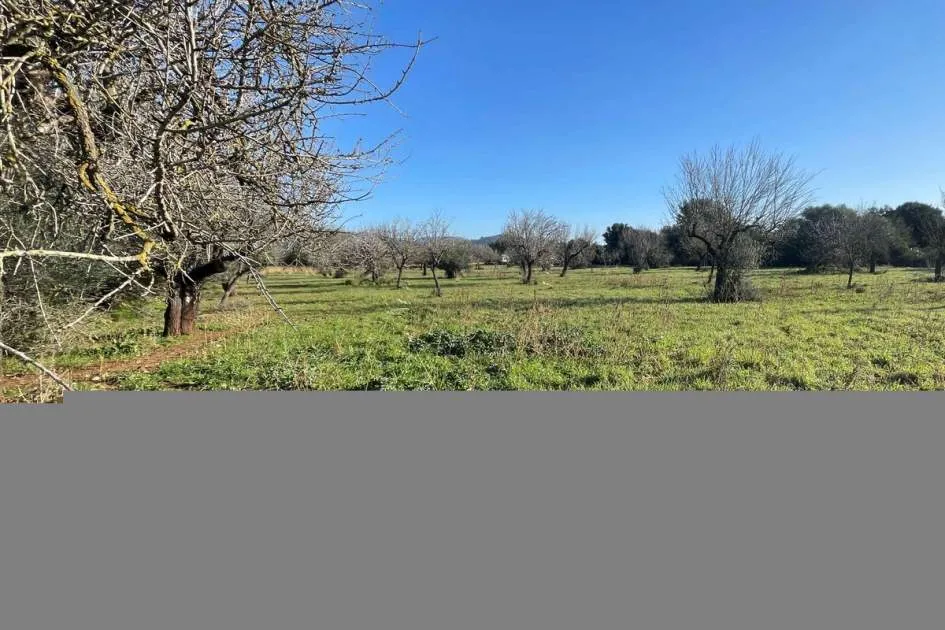 Plot with mountain views and building licence in Campanet
