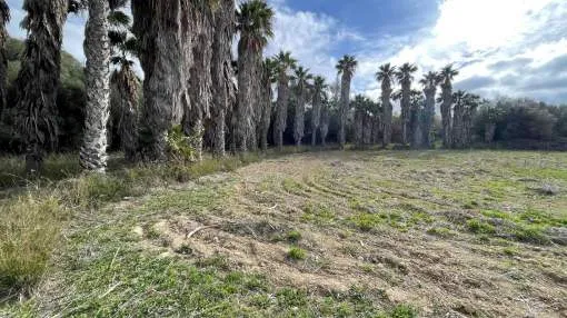 Plot with clear views and licence in Maria de la Salud