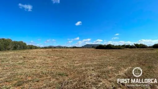 Expansive Plot in Llucmajor for Exclusive Single-Family Residence Expansive Plot in Llucmajor for Exclusive Single-Family Residence