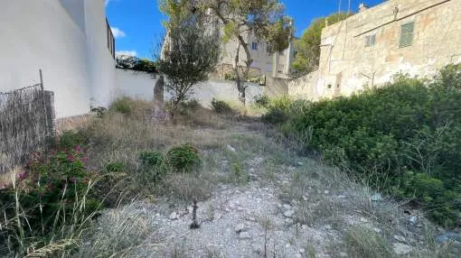 Plot with project in Cala Figuera