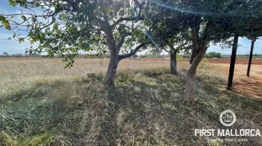 Rustic finca for building in Llubi
