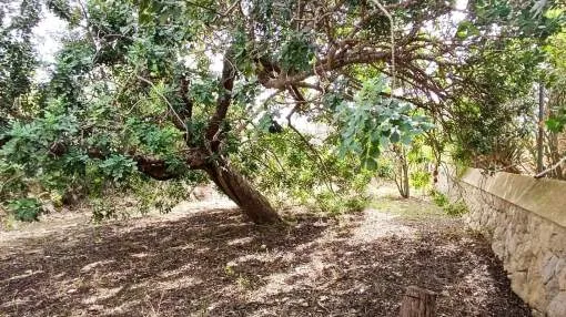 Scenic Land Plot with Mountain Views in the Heart of Establiments Scenic Land Plot with Mountain Views in the Heart of Establiments