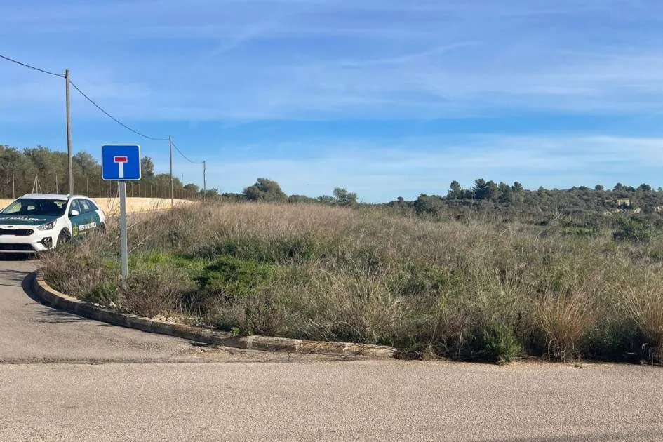 Plot with project and license. Unique views.