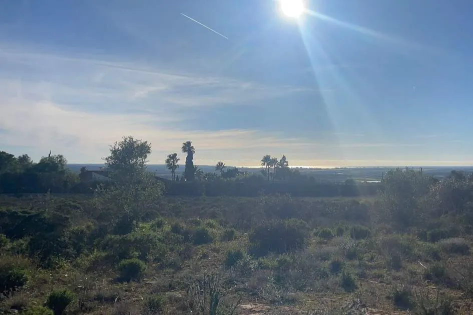 Plot with project and license. Unique views.